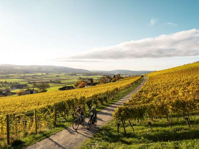 Weinerlebnisse im Thurgau