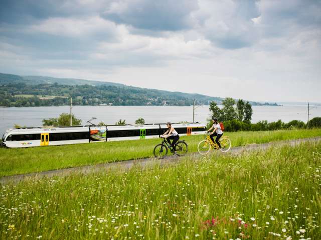 Entlang dem Ufer des Bodensees