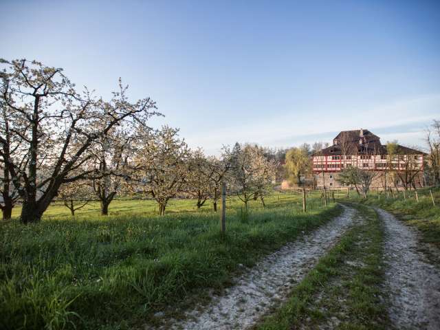 Typische Thurgauer Restaurants