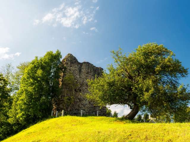 Burg- und Schlossruinen im Thurgau