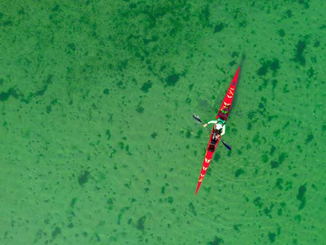 Ungetrübter Sommergenuss