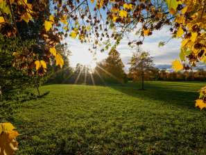 Kreuzlingen, Thurgau, Jahreszeit, Seeburgpark, Schweiz, Herbst