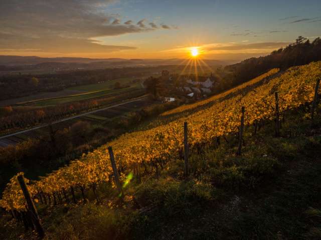 Neues Leben in alten Gemäuern