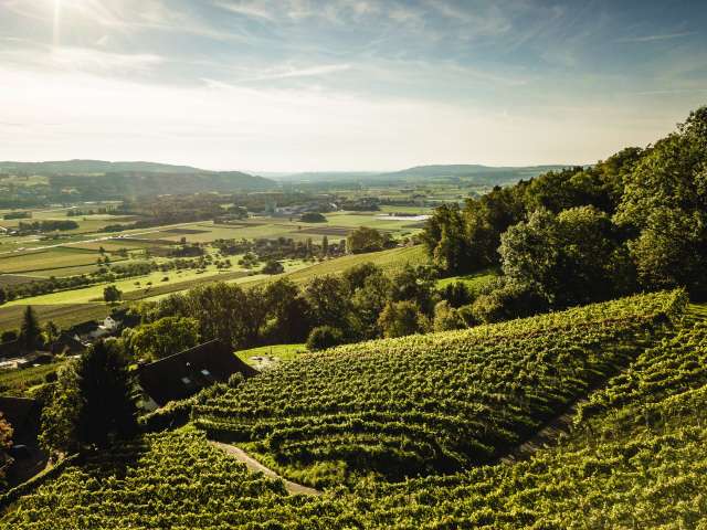 Tourismusforum Thurgau Bodensee