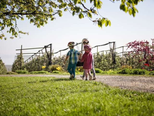 Familienferien in Mostindien
