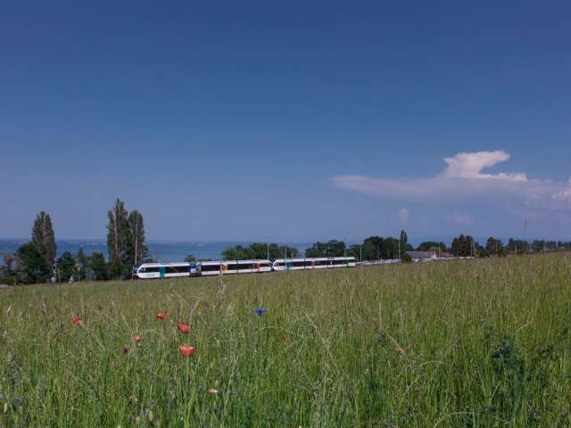 Mit dem Familienzug Thurbo an den Bodensee