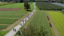 Familie, Inlineskate, slowUp, Velofahren