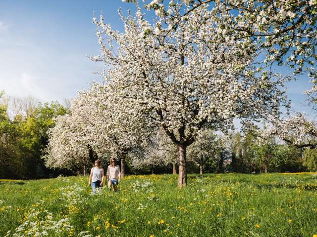Fäschtlatschi Spengler
