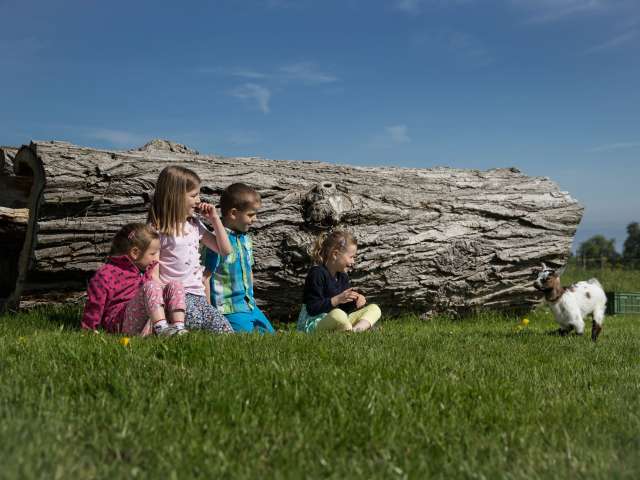 Bucket List für Familien
