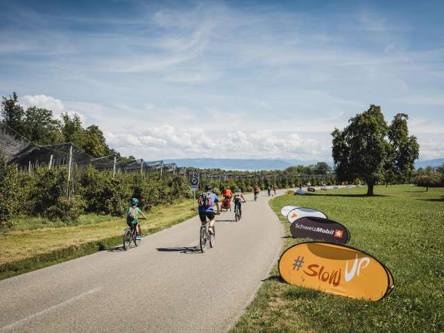 slowUp Bodensee steht in den Startlöchern