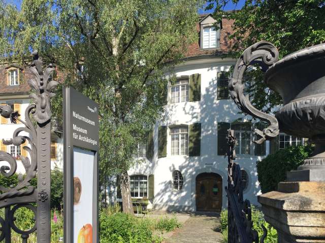 Museum für Archäologie