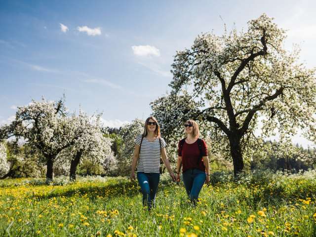Die schönsten Bluescht-Wanderungen