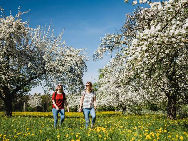 Der erste Bluescht-Feiertag