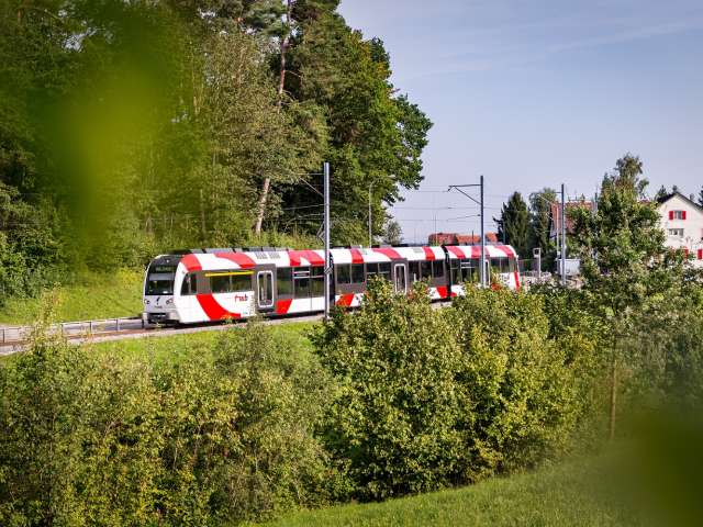 Linie Frauenfeld-Wil