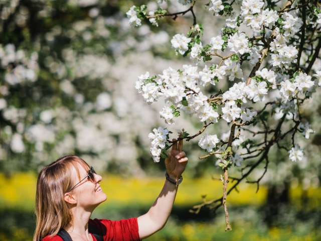 Frühlingserwachen mit Madame Bluescht