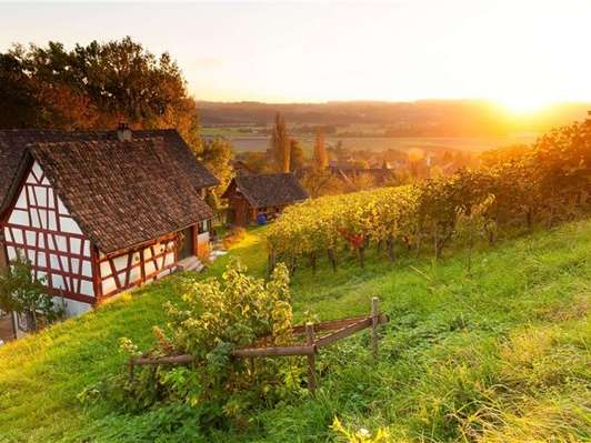 SGR Schweizer Gruppenreisen