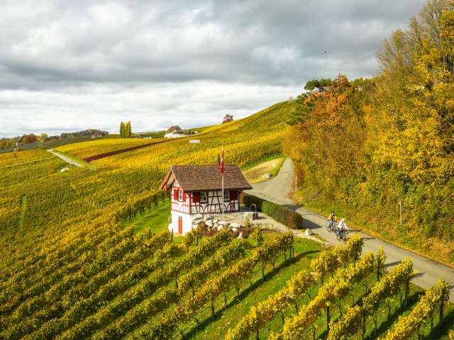 Swiss Wine Tour