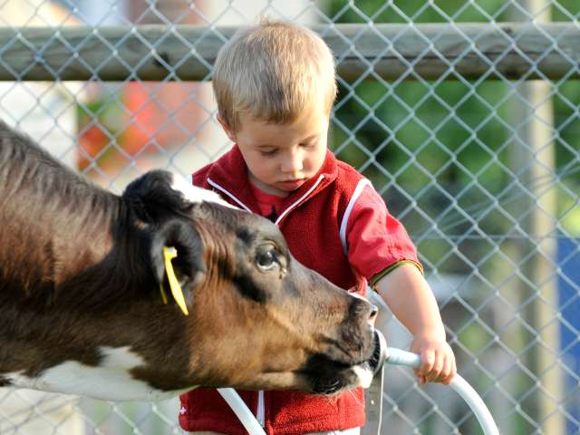 Tierische Erlebnisse im Thurgau