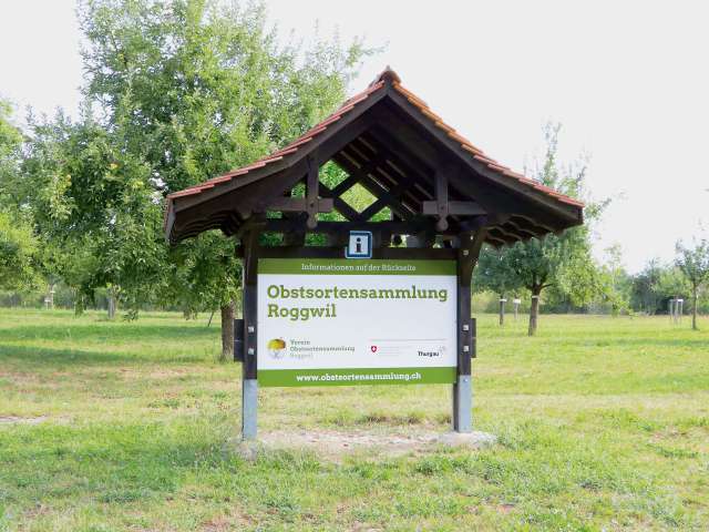 Obstsortensammlung Roggwil TG
