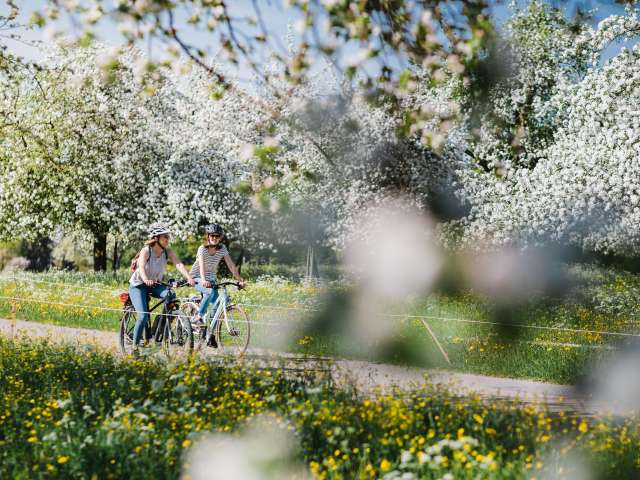 Genussvoll durch den Apfelkanton