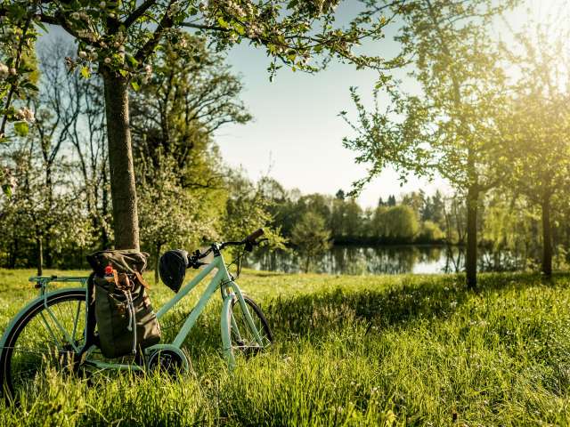 Kreativ werden mit der Bluescht