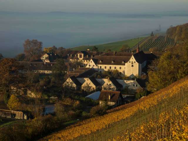 Thurgauer Kultur –  von Scheiben bis Mönchsklause