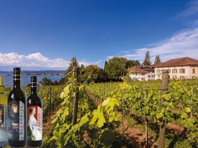 Weinerlebnis am Arenenberg