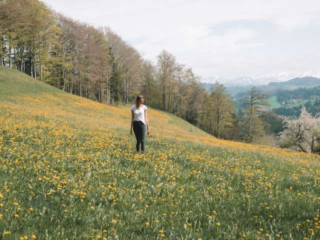 Unterwegs im Tannzapfenland