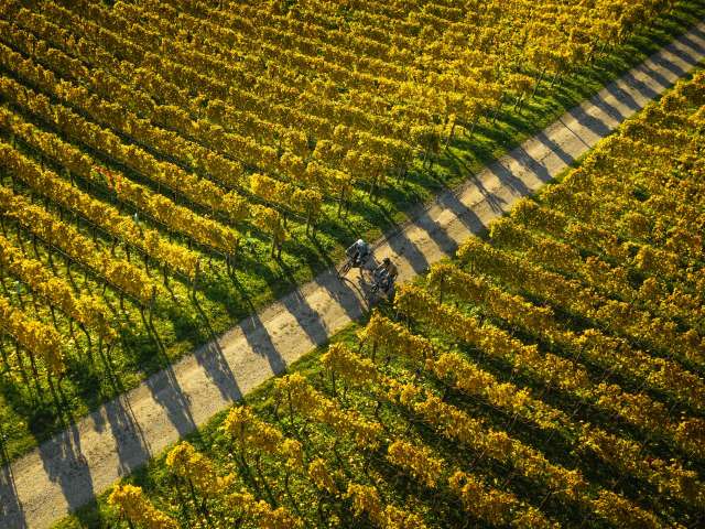 Herbst im Thurgau: Ein Fest für die Sinne!