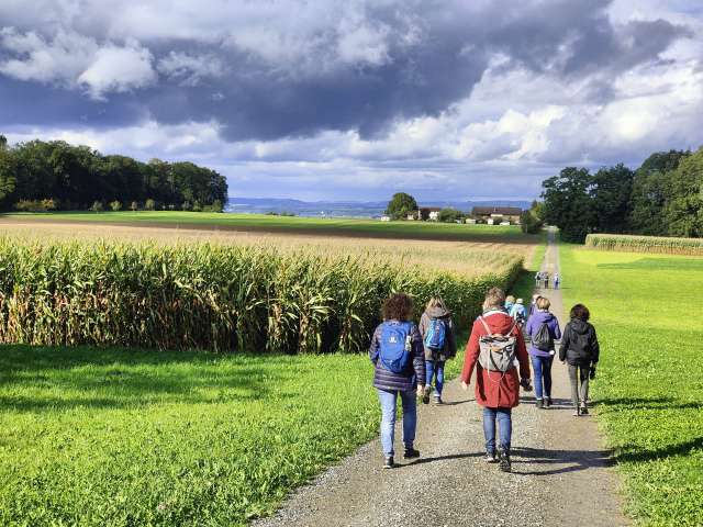 17. Thurgauer Gourmetwanderung