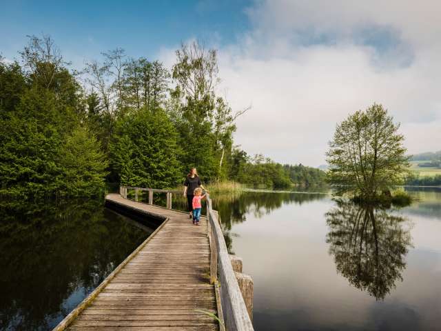 Wein und Natur im Seebachtal