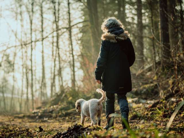Trüffel schnüffeln im Tannzapfenland