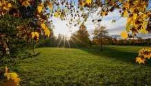 Kreuzlingen, Thurgau, Jahreszeit, Seeburgpark, Schweiz, Herbst